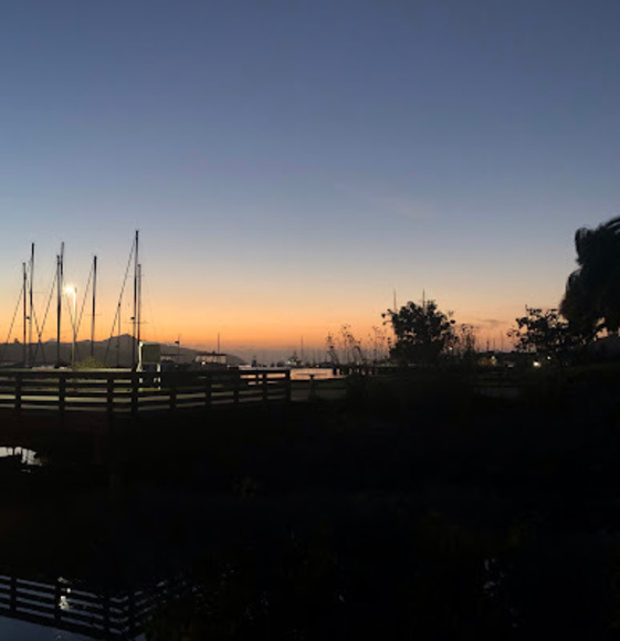 Meet your Posher, Paige - Picture 1 of 1